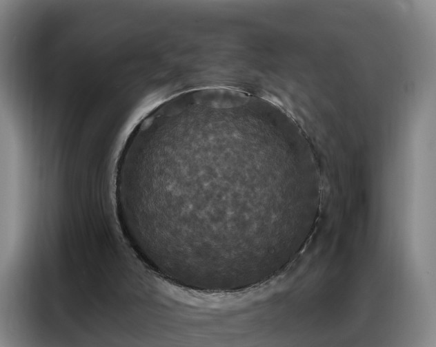 X0000088140006200705211145