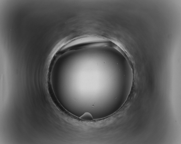 X0000088140007200705211145