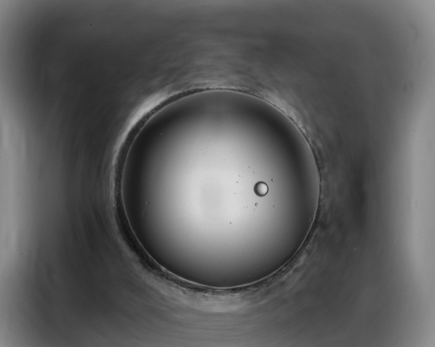 X0000088140008200705211145