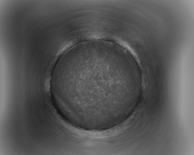 X0000088140010200705211145
