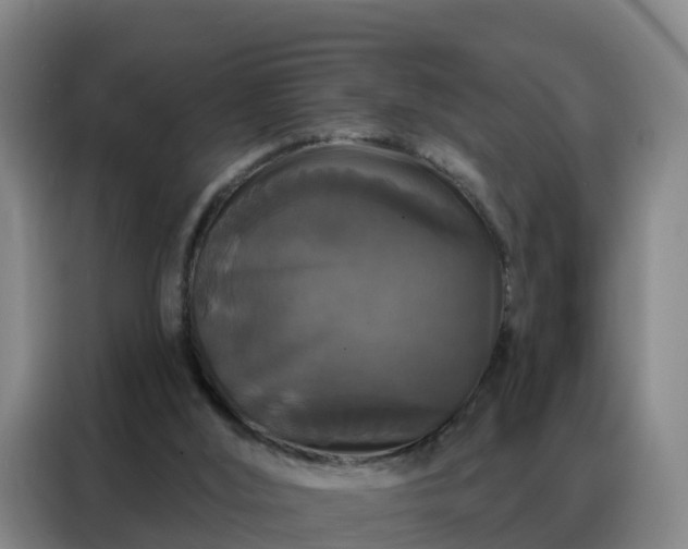 X0000088140012200705211145