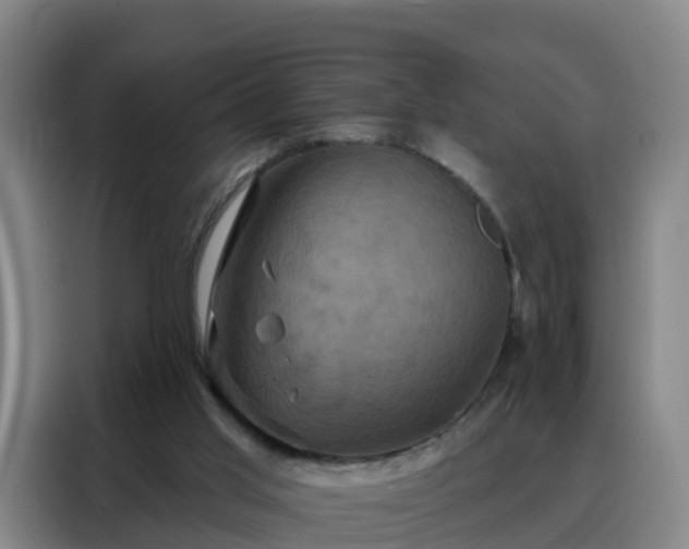X0000088140013200705211145