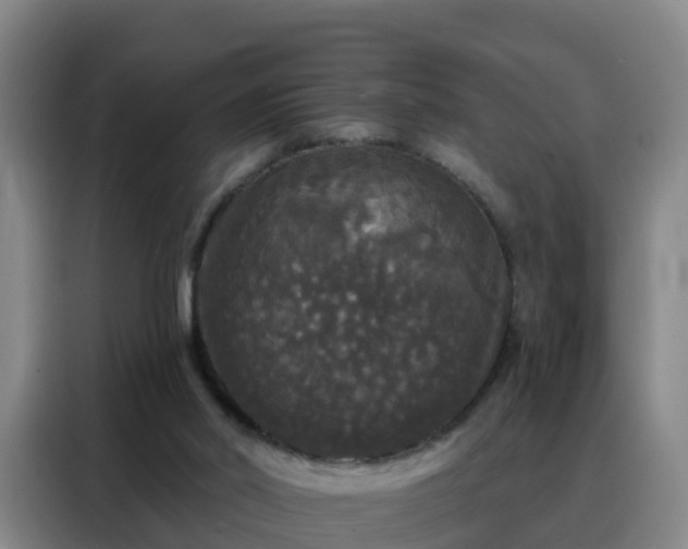 X0000088140014200705211145