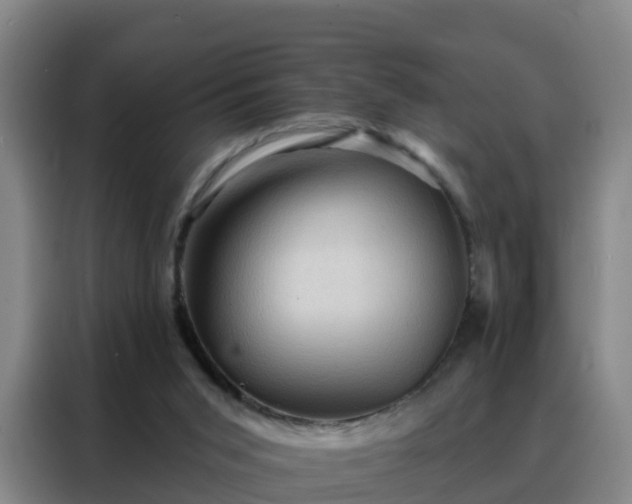 X0000088140015200705211145