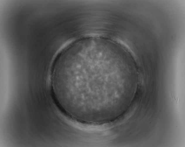 X0000088140016200705211145