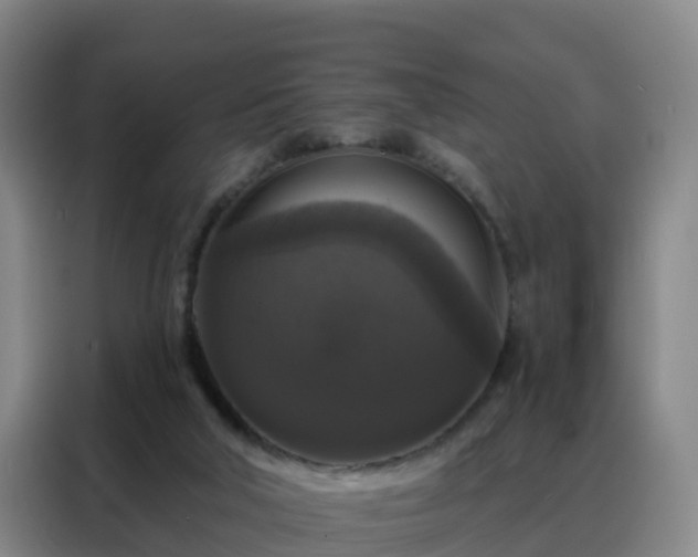 X0000088140018200705211145
