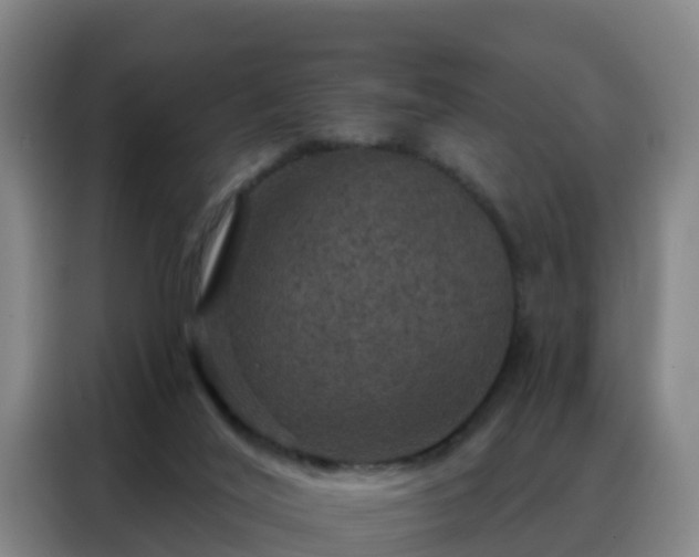 X0000088140020200705211145