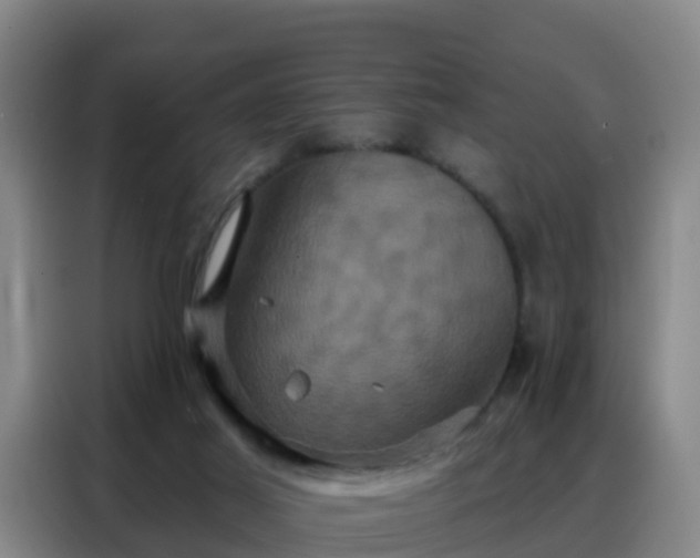 X0000088140021200705211145