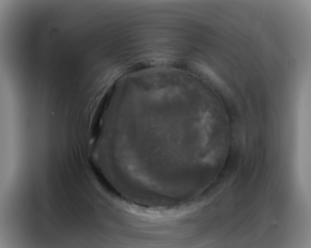 X0000088140022200705211145