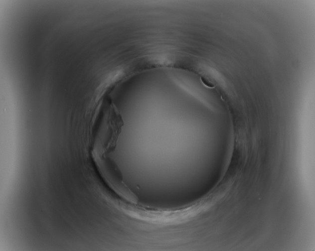 X0000088140023200705211145
