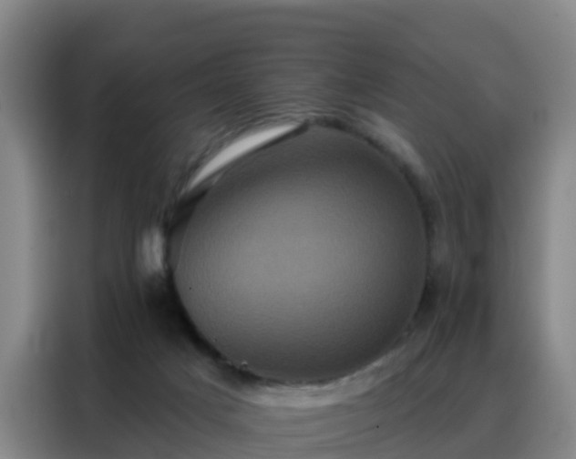 X0000088140025200705211145