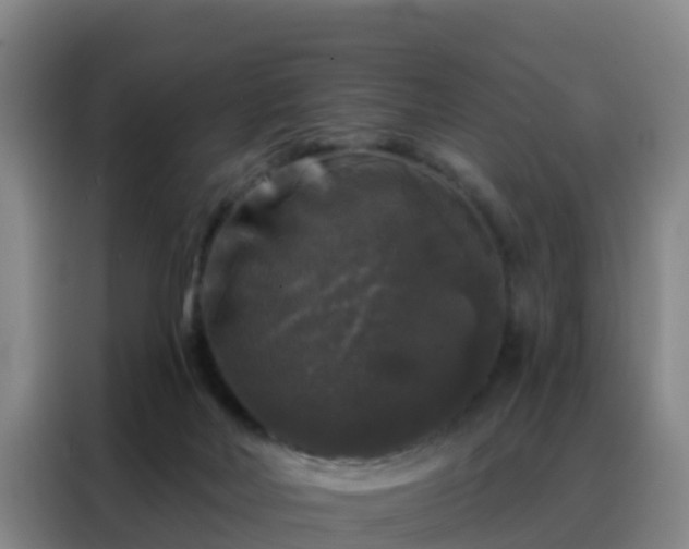 X0000088140026200705211145