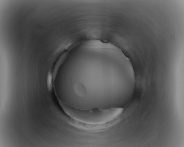 X0000088140027200705211145