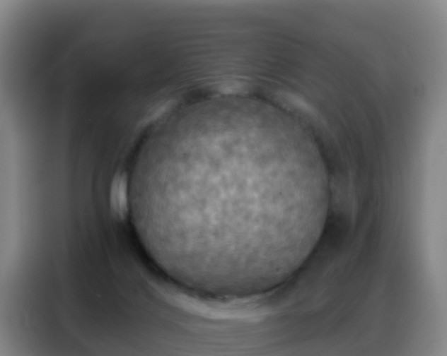X0000088140028200705211145