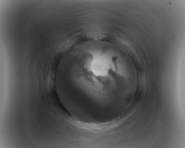 X0000088140030200705211145
