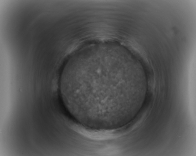 X0000088140032200705211145