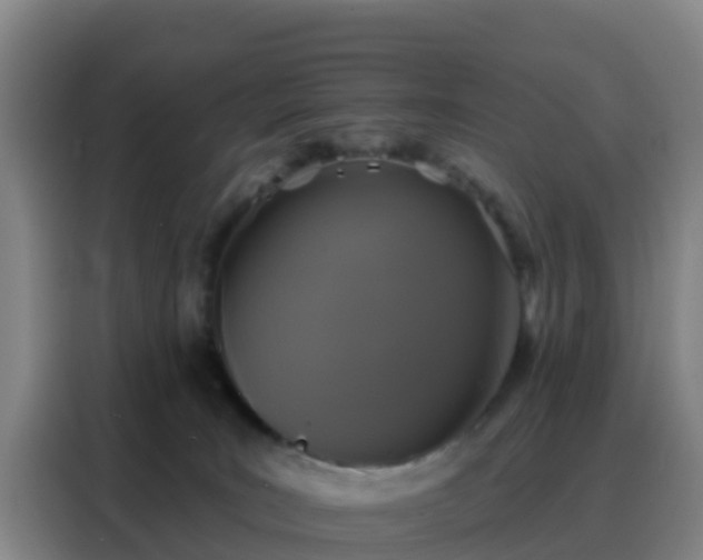 X0000088140035200705211144