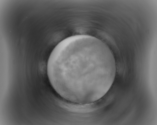 X0000088140036200705211144