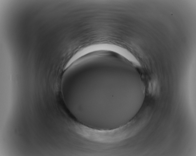 X0000088140039200705211144