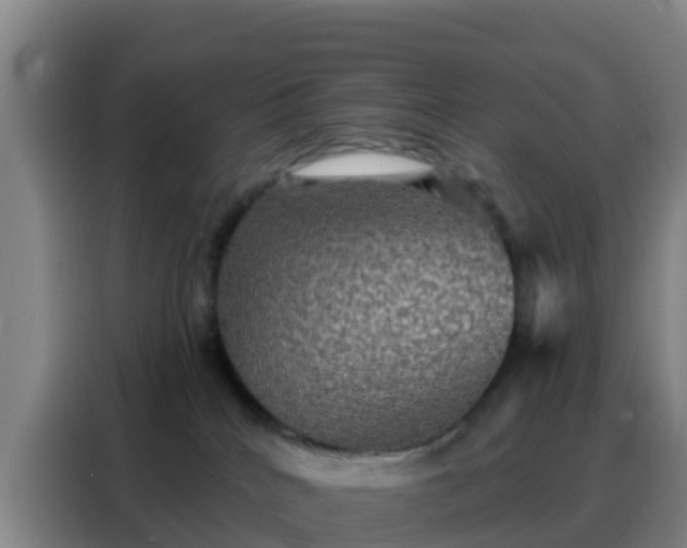 X0000088140040200705211144