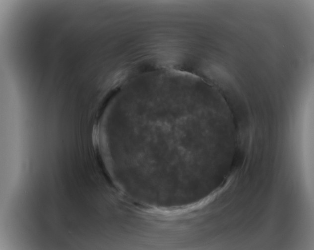 X0000088140041200705211144