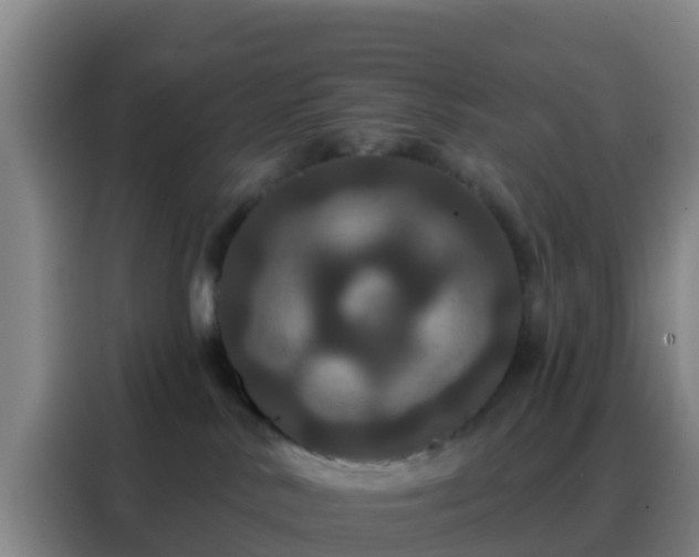 X0000088140042200705211144