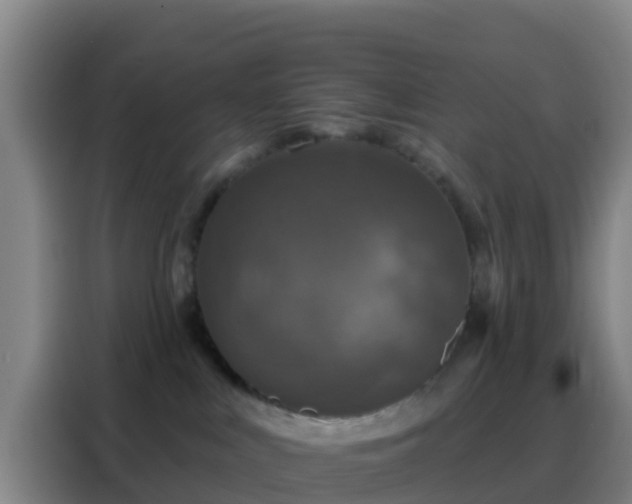 X0000088140043200705211144