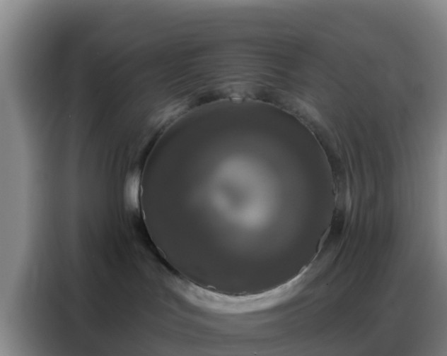 X0000088140047200705211144