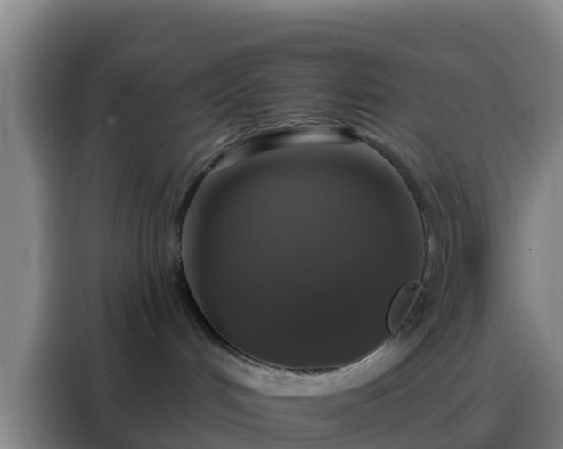 X0000088140048200705211144