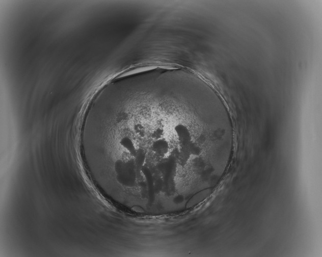 X0000088140049200705211144