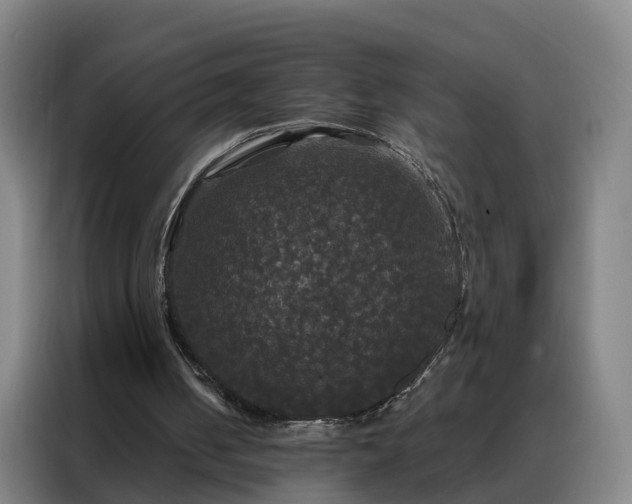 X0000088140050200705211144