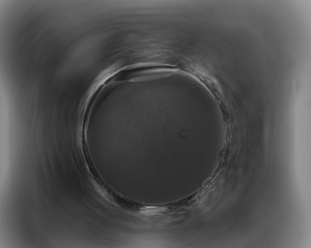 X0000088140051200705211144