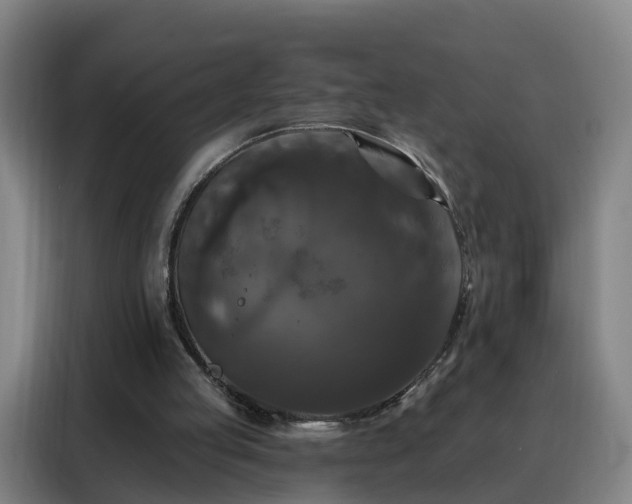 X0000088140053200705211144