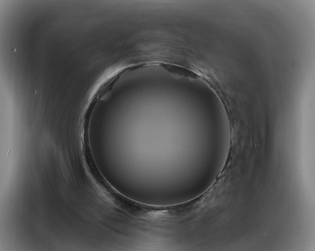 X0000088140054200705211144