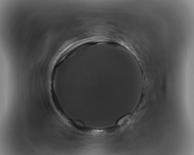 X0000088140055200705211144