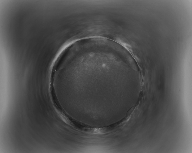 X0000088140056200705211144
