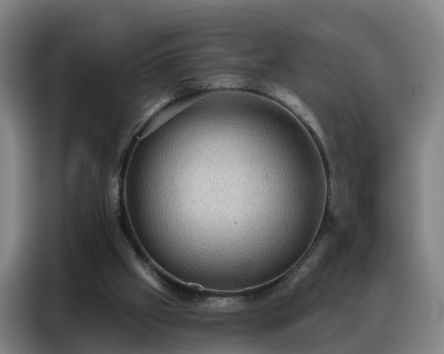 X0000088140057200705211144