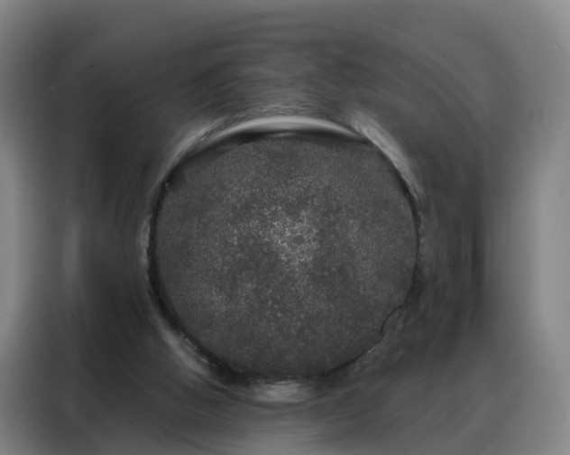 X0000088140058200705211144