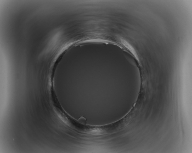 X0000088140059200705211144