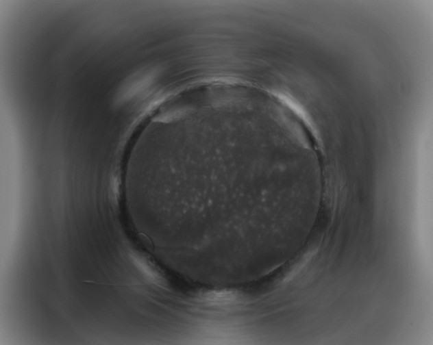 X0000088140063200705211144
