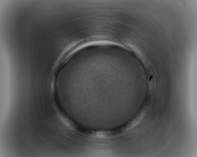 X0000088140064200705211144