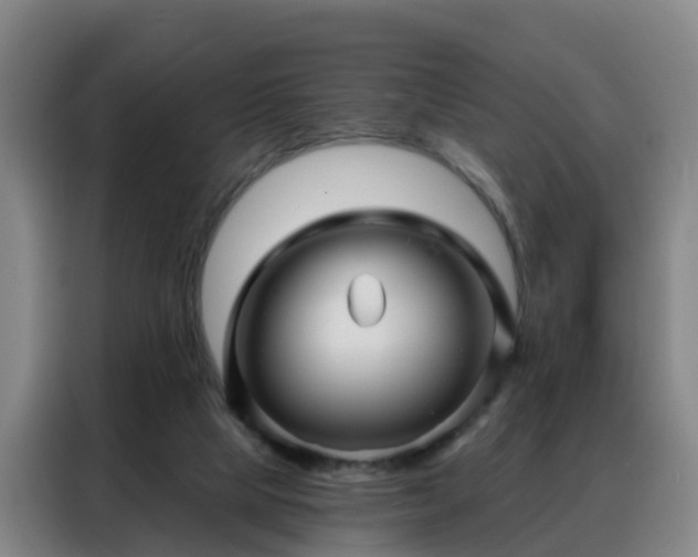 X0000088140065200705211144