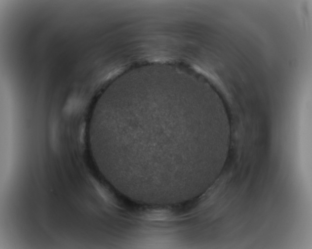 X0000088140066200705211144