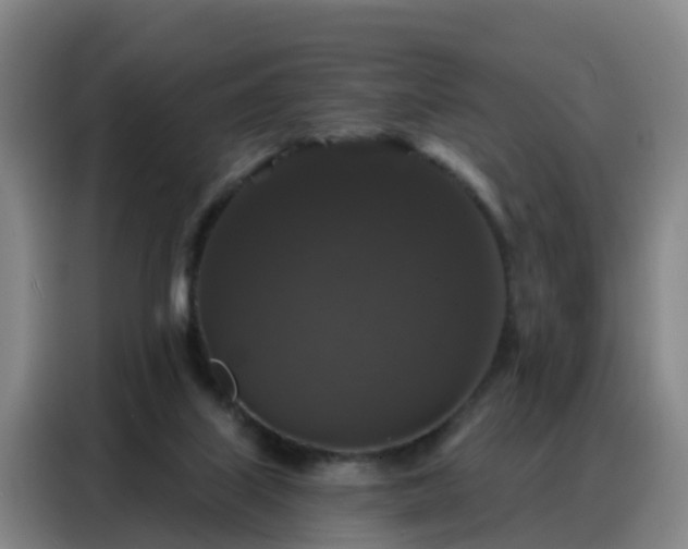 X0000088140067200705211144
