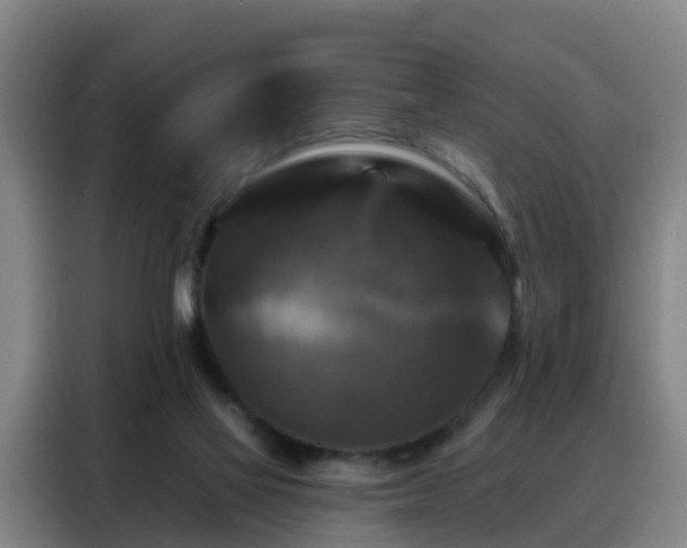 X0000088140069200705211144