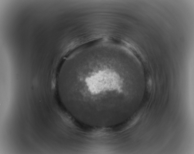 X0000088140072200705211144