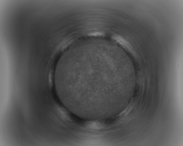 X0000088140074200705211144
