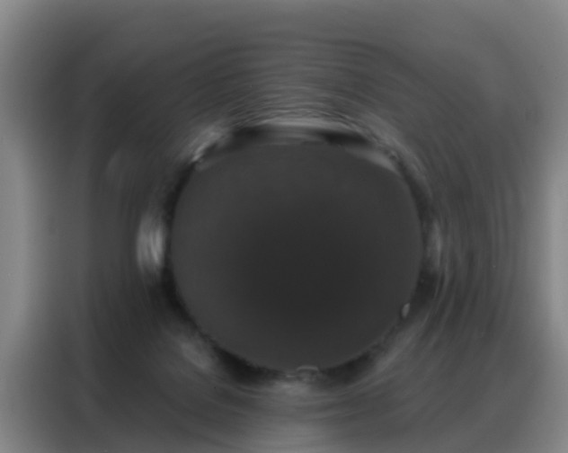 X0000088140076200705211144