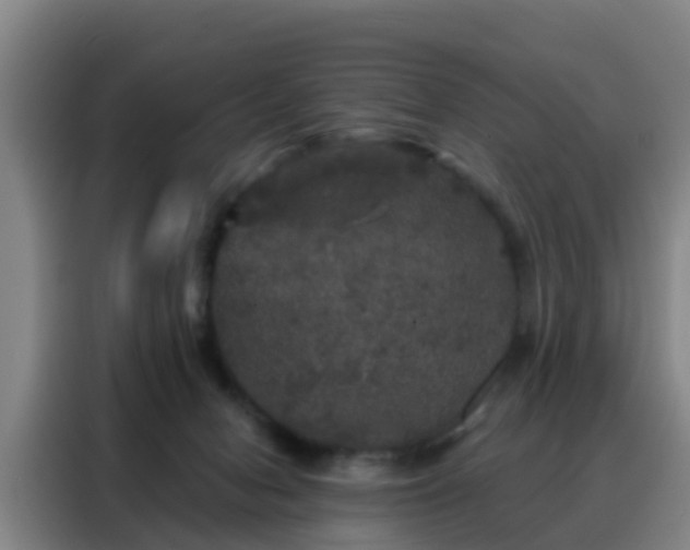 X0000088140078200705211144