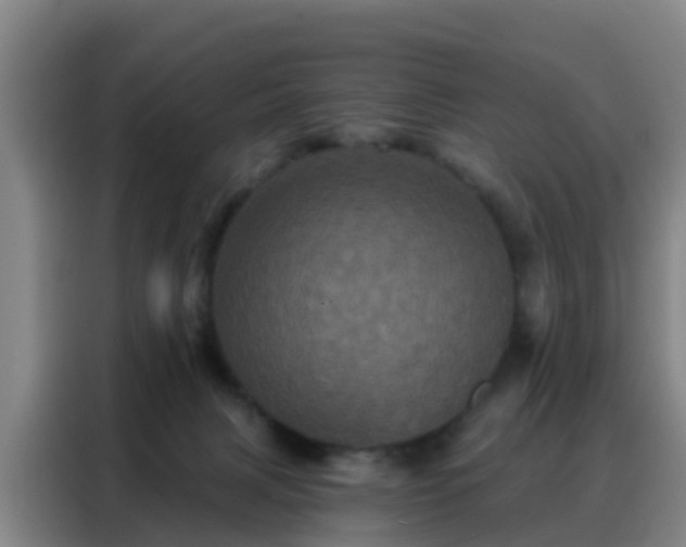 X0000088140079200705211144